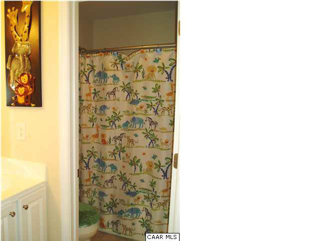 134 Devon Drive Ruckersville, VA 22968 - Photo 21 of 28 2nd Level Full Bath