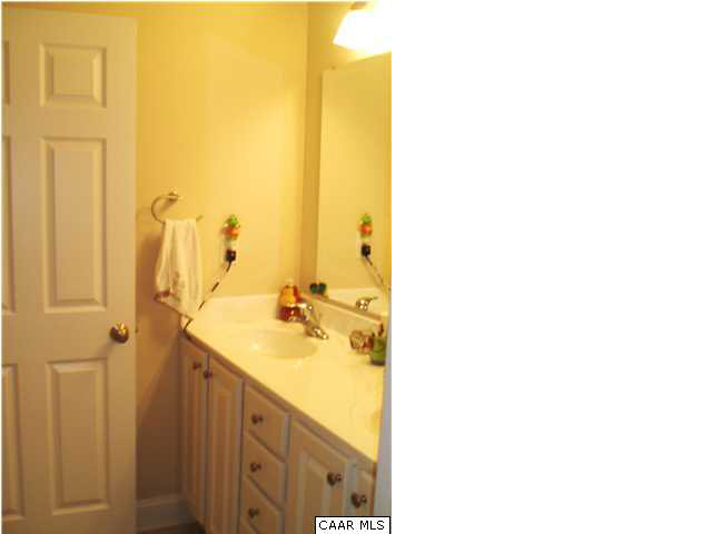 134 Devon Drive Ruckersville, VA 22968 - Photo 22 of 28 2nd Level Full Bath