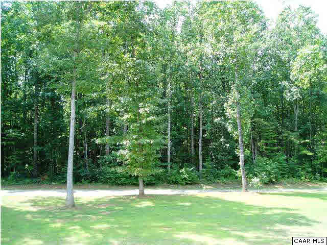 134 Devon Drive Ruckersville, VA 22968 - Photo 5 of 28 Front Yard