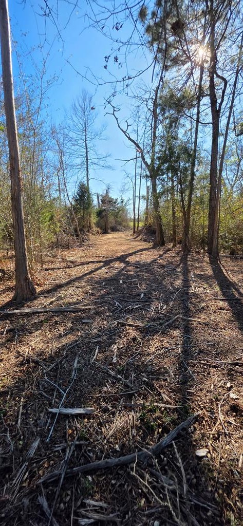 12.7-acres Nobles Road Dothan, AL 36301 - Photo 35 of 41