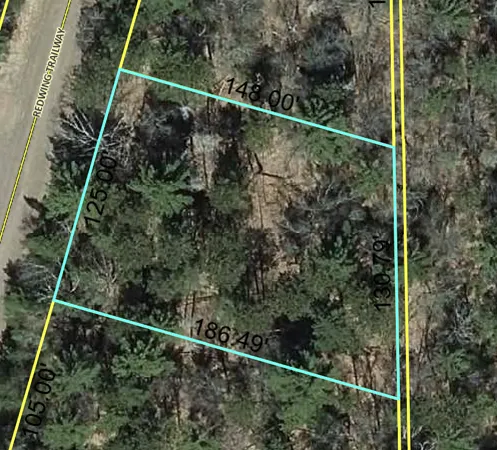 $6,995 | Lot 89 Redwing Trail Way, Danbury, WI 54830