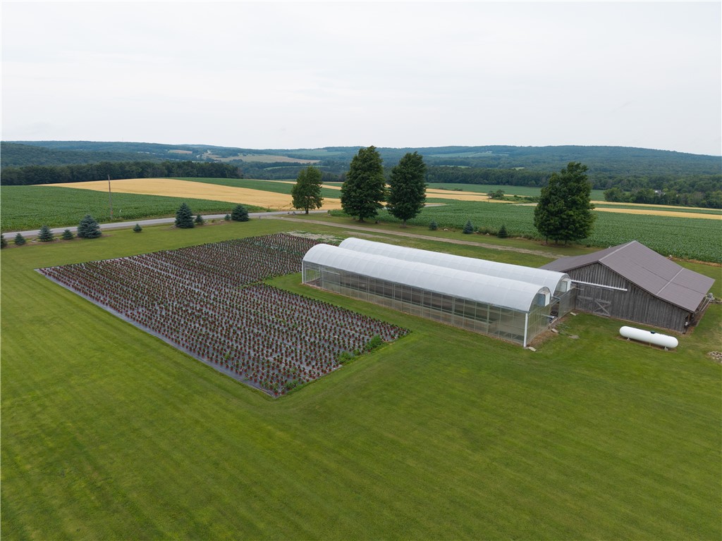 10131 Runyon Road Ossian, NY 14437 - Photo 3 of 49