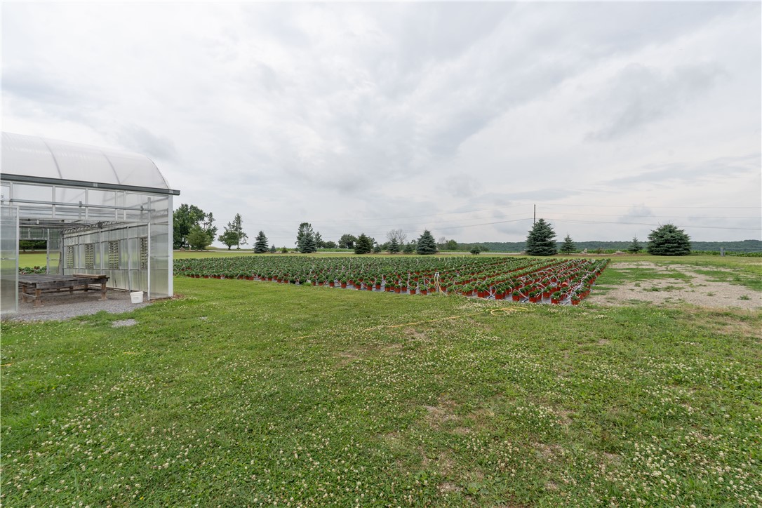 10131 Runyon Road Ossian, NY 14437 - Photo 45 of 49