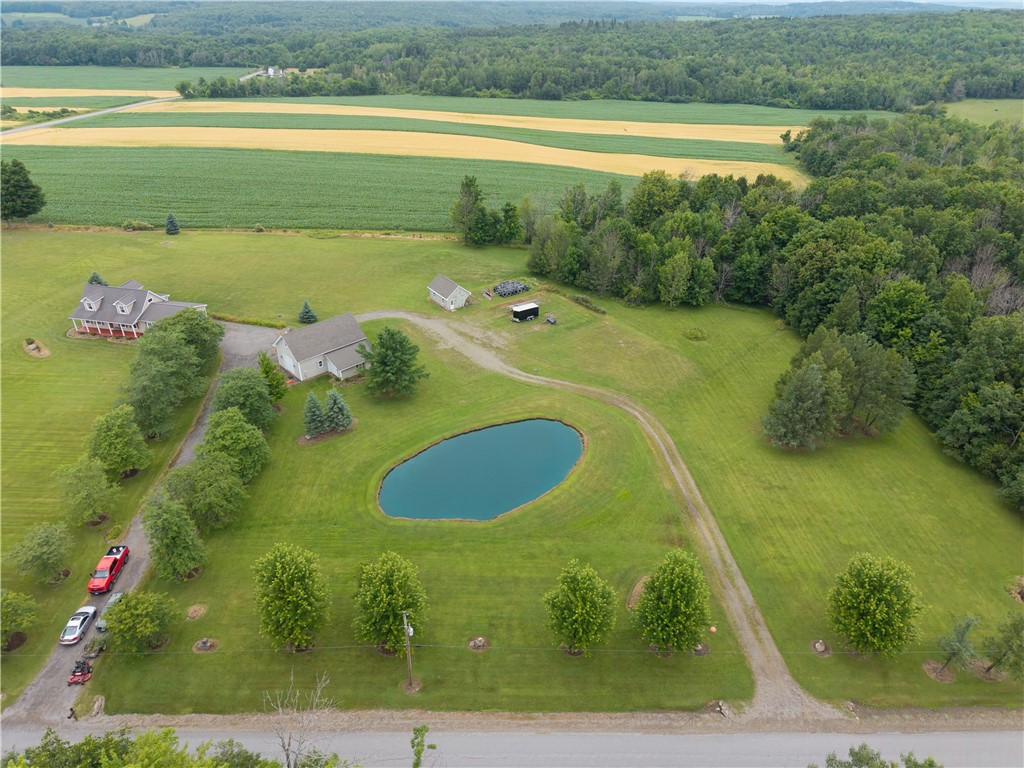 10131 Runyon Road Ossian, NY 14437 - Photo 6 of 49