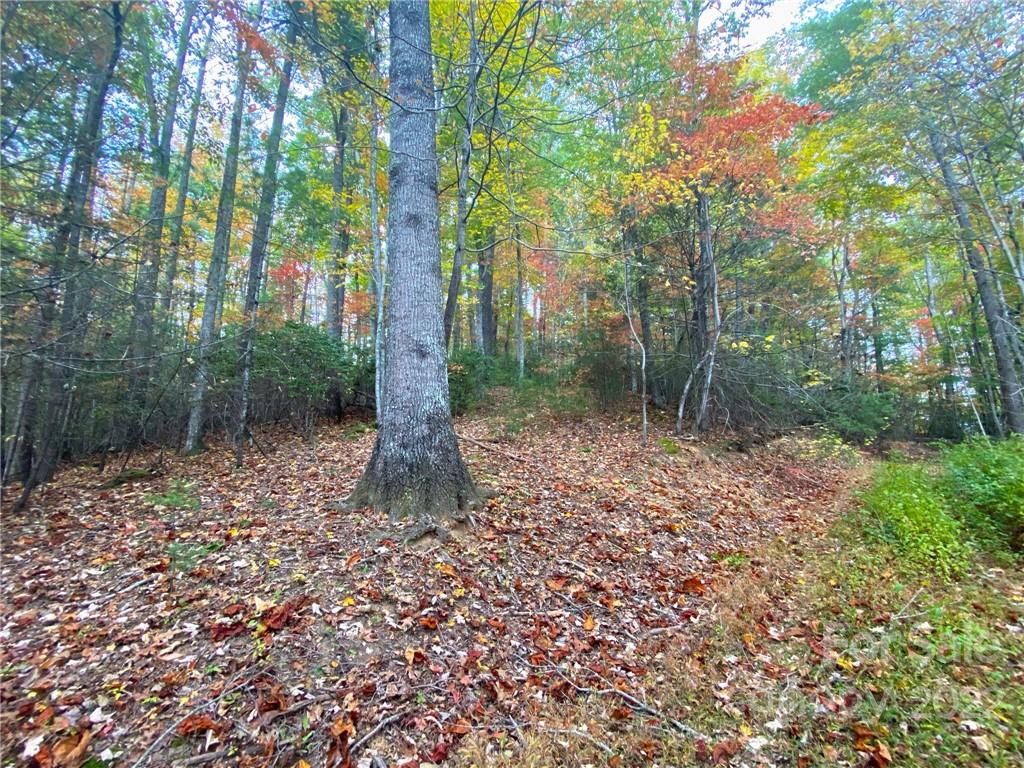Tbd Grouse Point Road Hot Springs, NC 28743 - Photo 12 of 24 Gallery Image 12