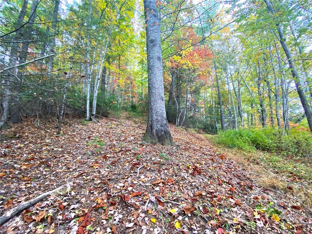 Tbd Grouse Point Road Hot Springs, NC 28743 - Photo 14 of 24 Gallery Image 14