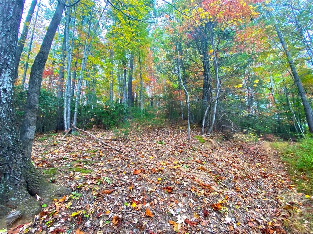 Tbd Grouse Point Road Hot Springs, NC 28743 - Photo 15 of 24 Gallery Image 15
