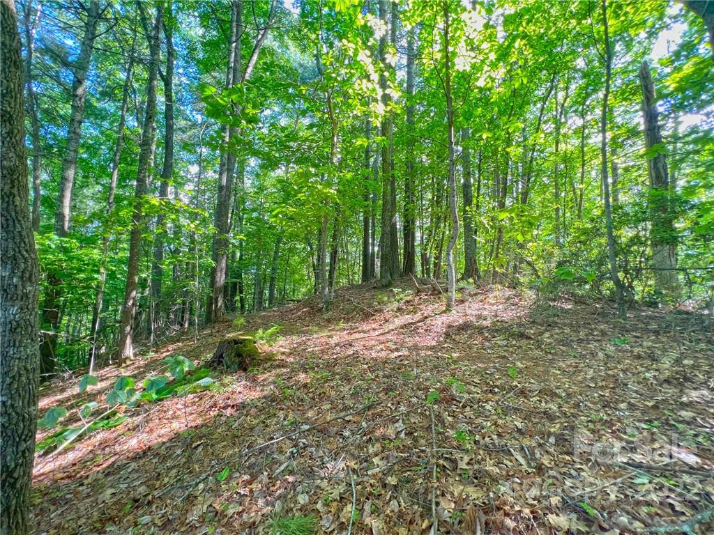 Tbd Grouse Point Road Hot Springs, NC 28743 - Photo 18 of 24 Gallery Image 18