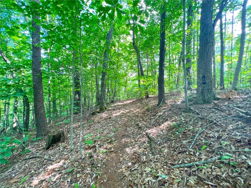 Tbd Grouse Point Road Hot Springs, NC 28743 - Photo 19 of 24 Gallery Image 19