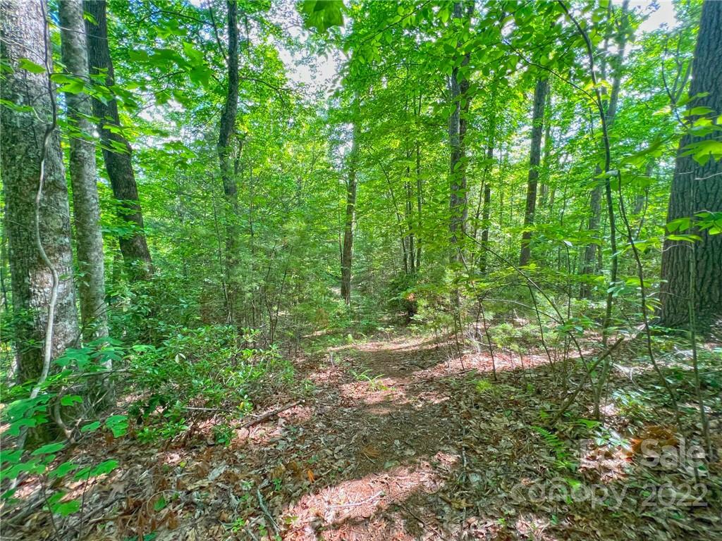 Tbd Grouse Point Road Hot Springs, NC 28743 - Photo 20 of 24 Gallery Image 20