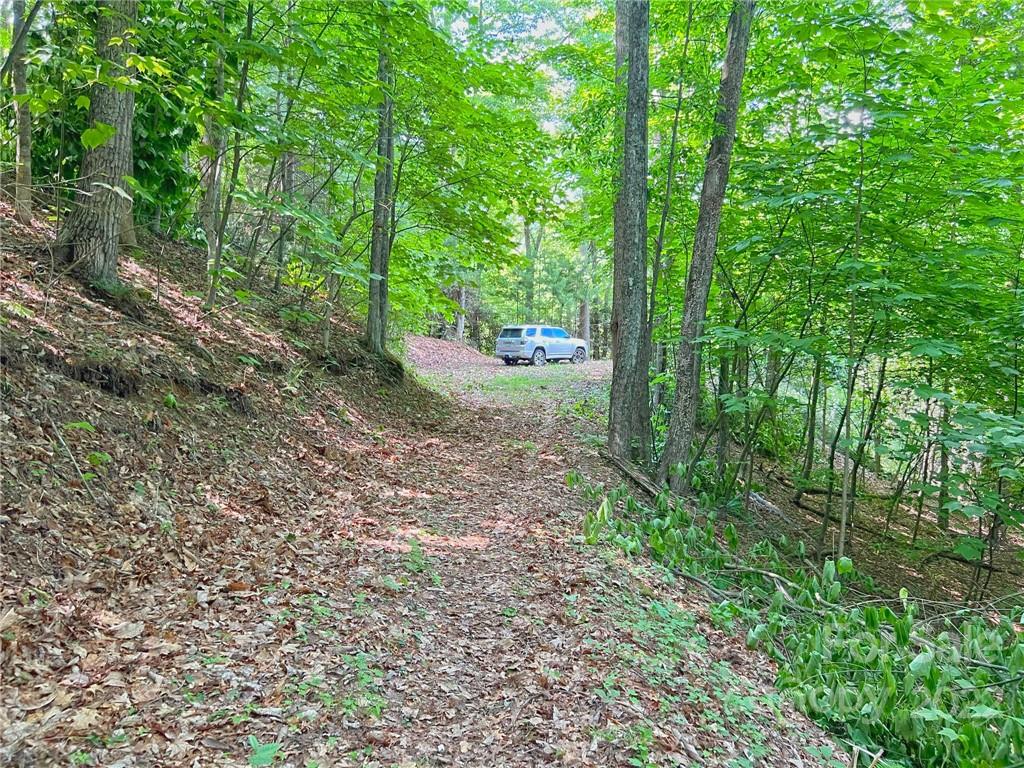 Tbd Grouse Point Road Hot Springs, NC 28743 - Photo 2 of 24 Gallery Image 2