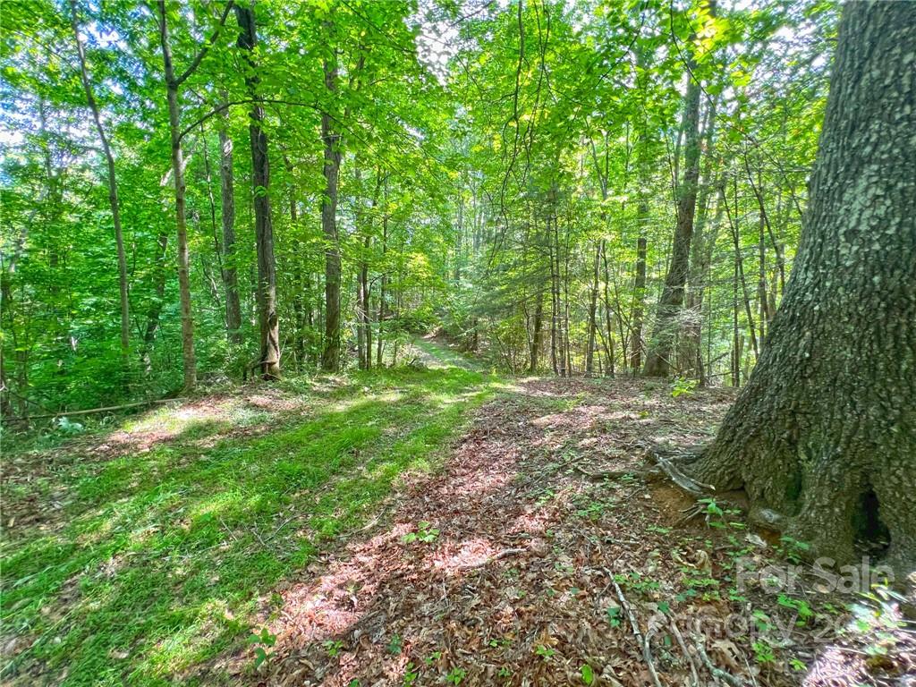 Tbd Grouse Point Road Hot Springs, NC 28743 - Photo 21 of 24 Gallery Image 21
