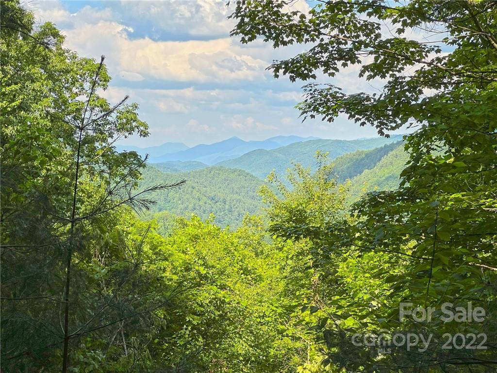 Tbd Grouse Point Road Hot Springs, NC 28743 - Photo 22 of 24 Gallery Image 22