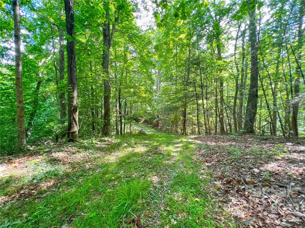 Tbd Grouse Point Road Hot Springs, NC 28743 - Photo 23 of 24 Gallery Image 23