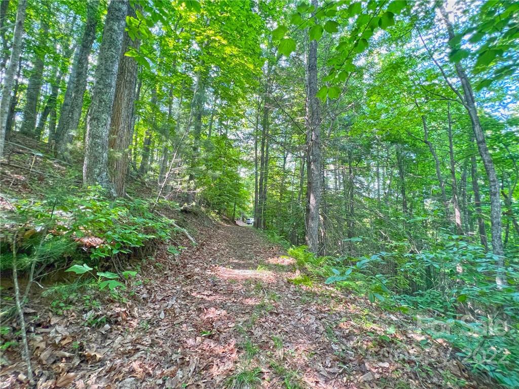 Tbd Grouse Point Road Hot Springs, NC 28743 - Photo 24 of 24 Gallery Image 24
