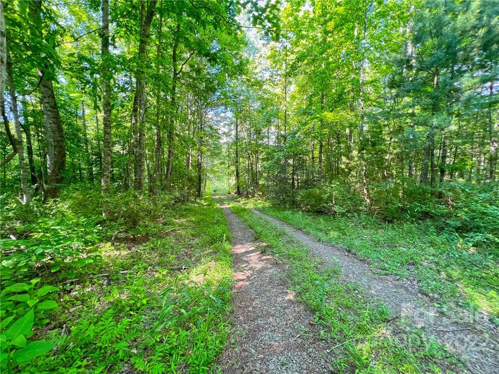 Tbd Grouse Point Road Hot Springs, NC 28743 - Photo 3 of 24 Gallery Image 3