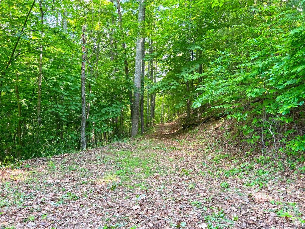 Tbd Grouse Point Road Hot Springs, NC 28743 - Photo 5 of 24 Gallery Image 5