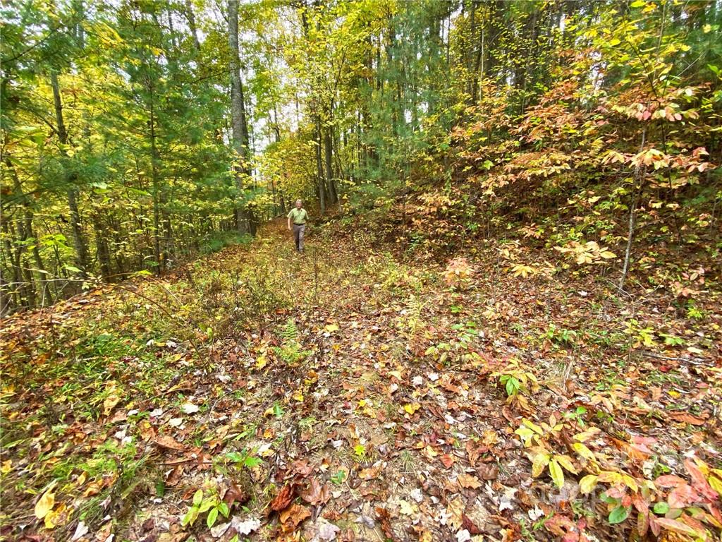 Tbd Grouse Point Road Hot Springs, NC 28743 - Photo 6 of 24 Gallery Image 6