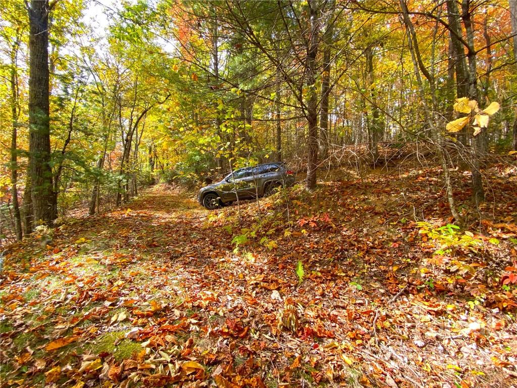 Tbd Grouse Point Road Hot Springs, NC 28743 - Photo 8 of 24 Gallery Image 8