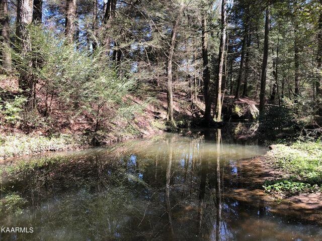 184 Old Wilder Road Grimsley, TN 38565 - Photo 11 of 34 a view of water with a house