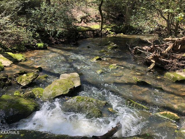 184 Old Wilder Road Grimsley, TN 38565 - Photo 12 of 34 a view of a tree in a yard