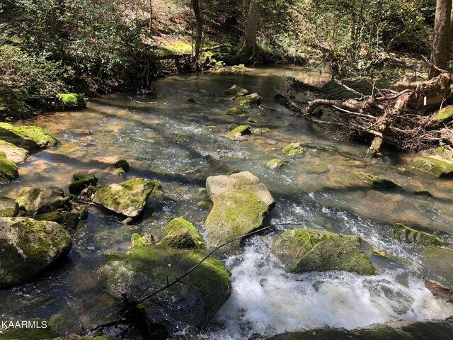 184 Old Wilder Road Grimsley, TN 38565 - Photo 13 of 34 a backyard of a house