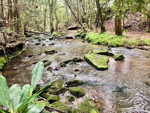 184 Old Wilder Road Grimsley, TN 38565 - Photo 17 of 34 a backyard of a house with a yard with green space