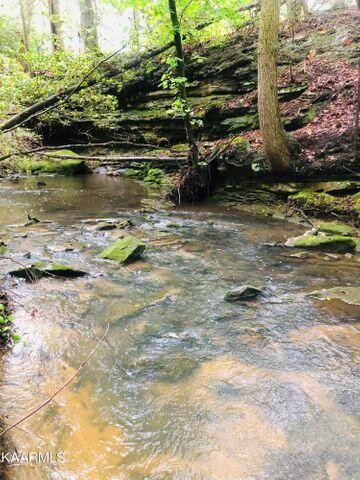 184 Old Wilder Road Grimsley, TN 38565 - Photo 19 of 34 a view of swimming pool with a yard