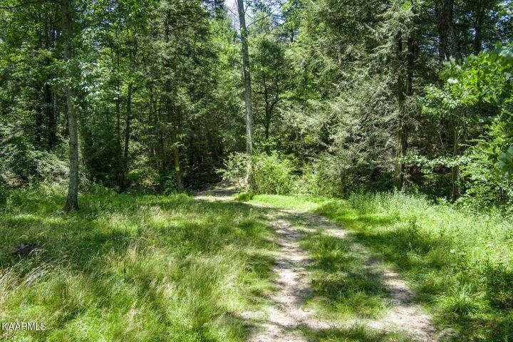 184 Old Wilder Road Grimsley, TN 38565 - Photo 24 of 34 a view of outdoor space and green space