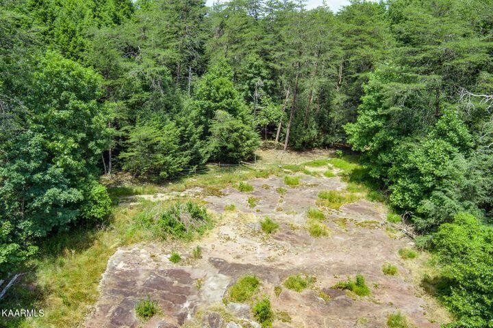 184 Old Wilder Road Grimsley, TN 38565 - Photo 28 of 34 a view of a yard with plants and large trees