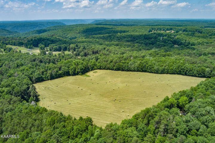184 Old Wilder Road Grimsley, TN 38565 - Photo 3 of 34 a view of a big yard with lots of green space