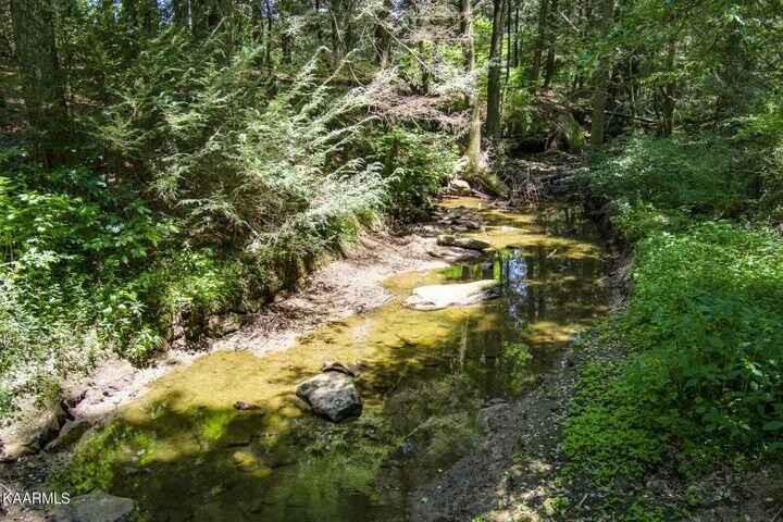 184 Old Wilder Road Grimsley, TN 38565 - Photo 6 of 34 a view of a yard