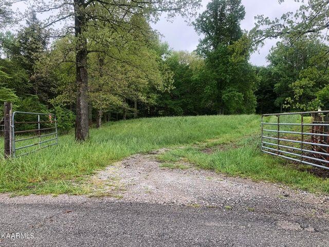 184 Old Wilder Road Grimsley, TN 38565 - Photo 7 of 34 a view of a yard with grass