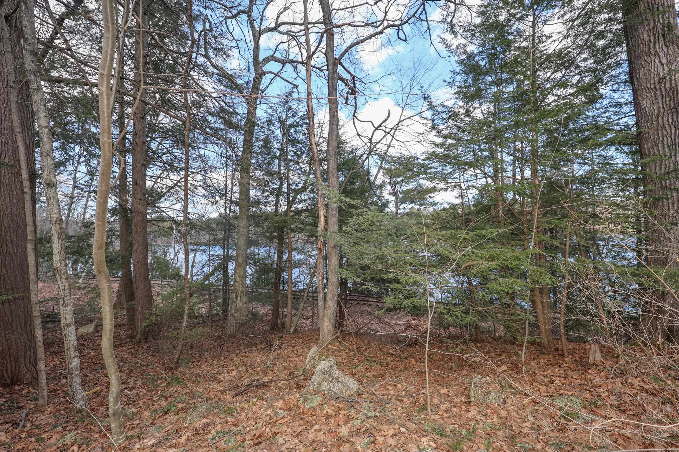 145 Zephyr Lake Road Greenfield, NH 03047 - Photo 25 of 36 Gallery Image 25