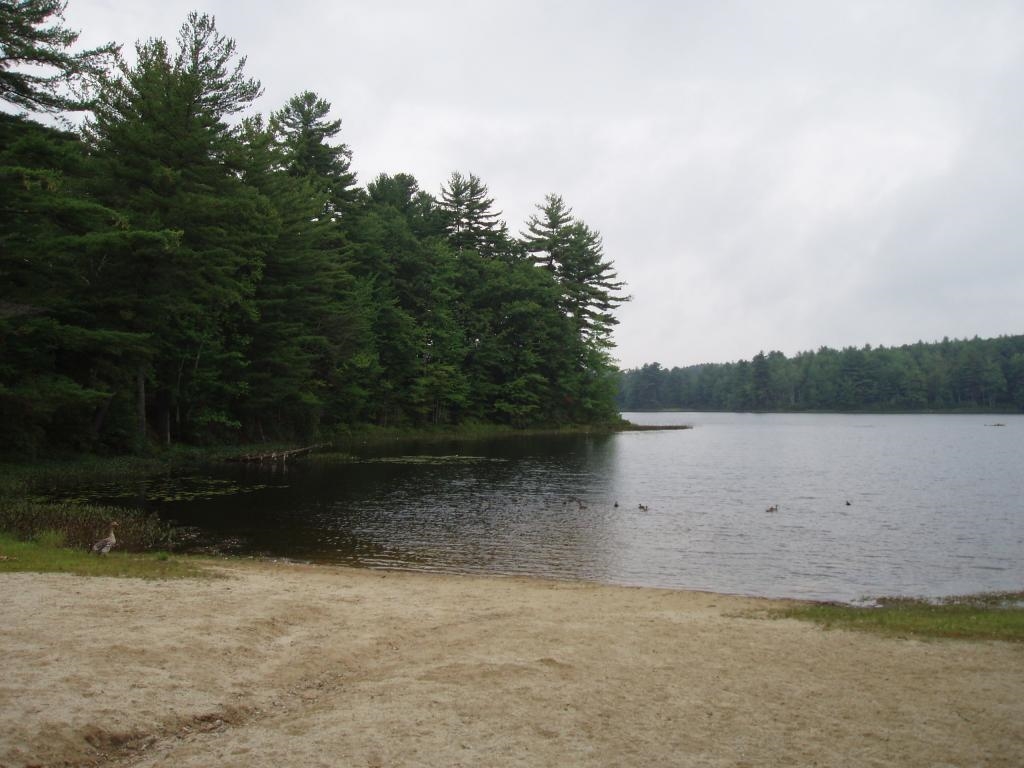 145 Zephyr Lake Road Greenfield, NH 03047 - Photo 34 of 36 Gallery Image 34