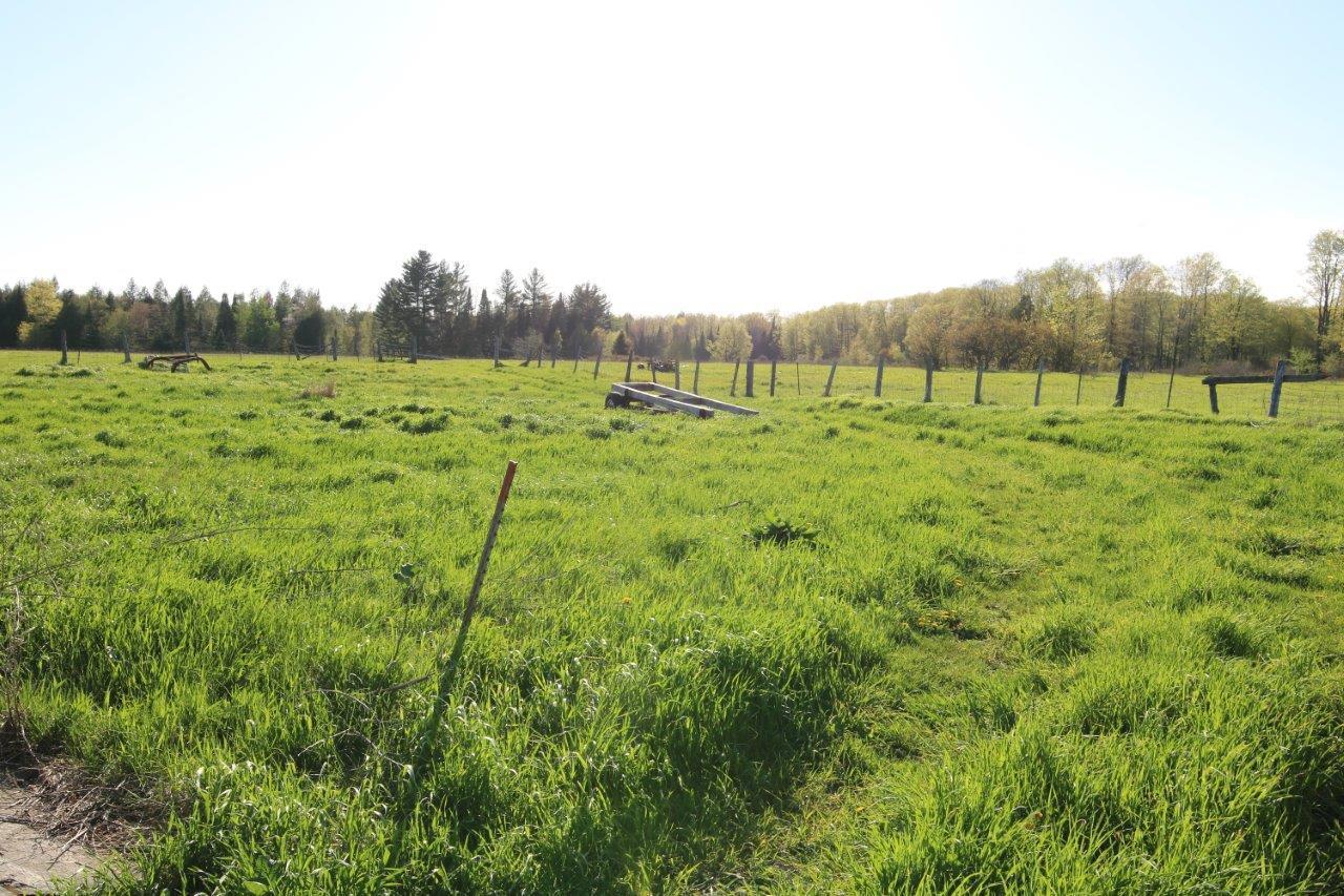 8495 North Black River Road Cheboygan, MI 49721 - Photo 10 of 30 Gallery Image 10