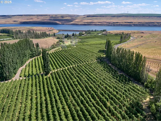 a view of a garden with an outdoor space