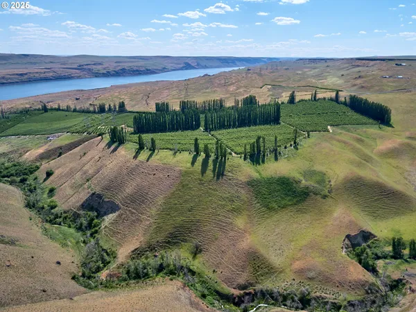 a view of a lake with a mountain in the background
