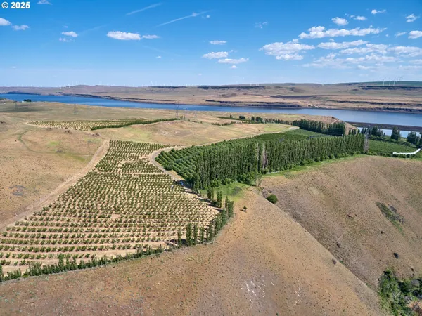 a view of a swimming pool with an outdoor space