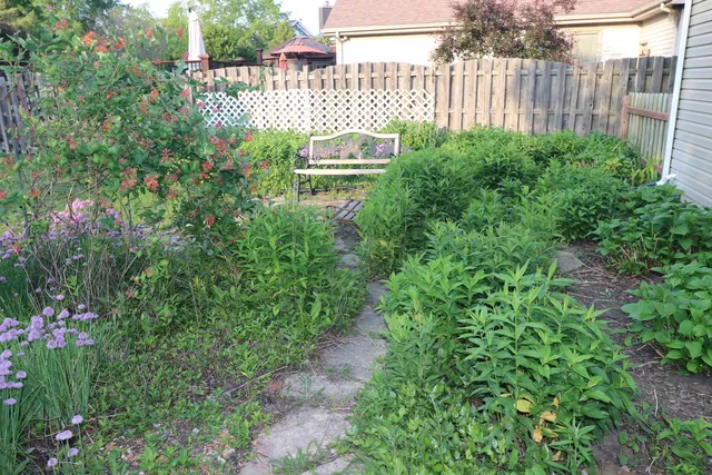 a view of a backyard with plants