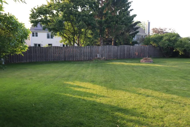 a view of a backyard