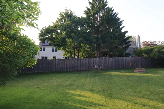 a view of a backyard with a small yard plants and large tree