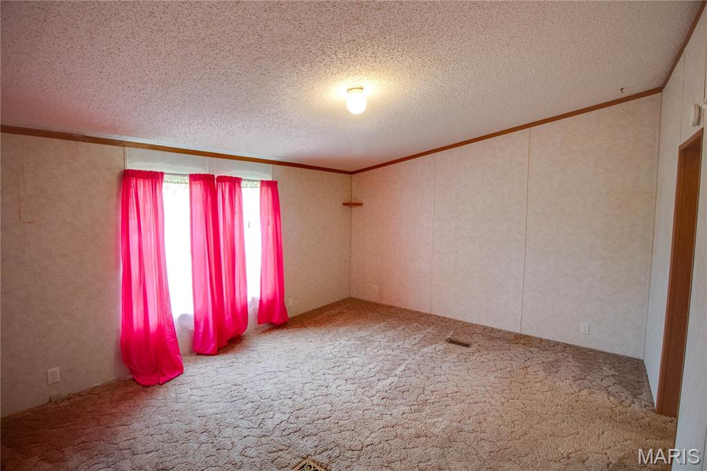 200 Spangle Road West Livingston, IL 62058 - Photo 30 of 50