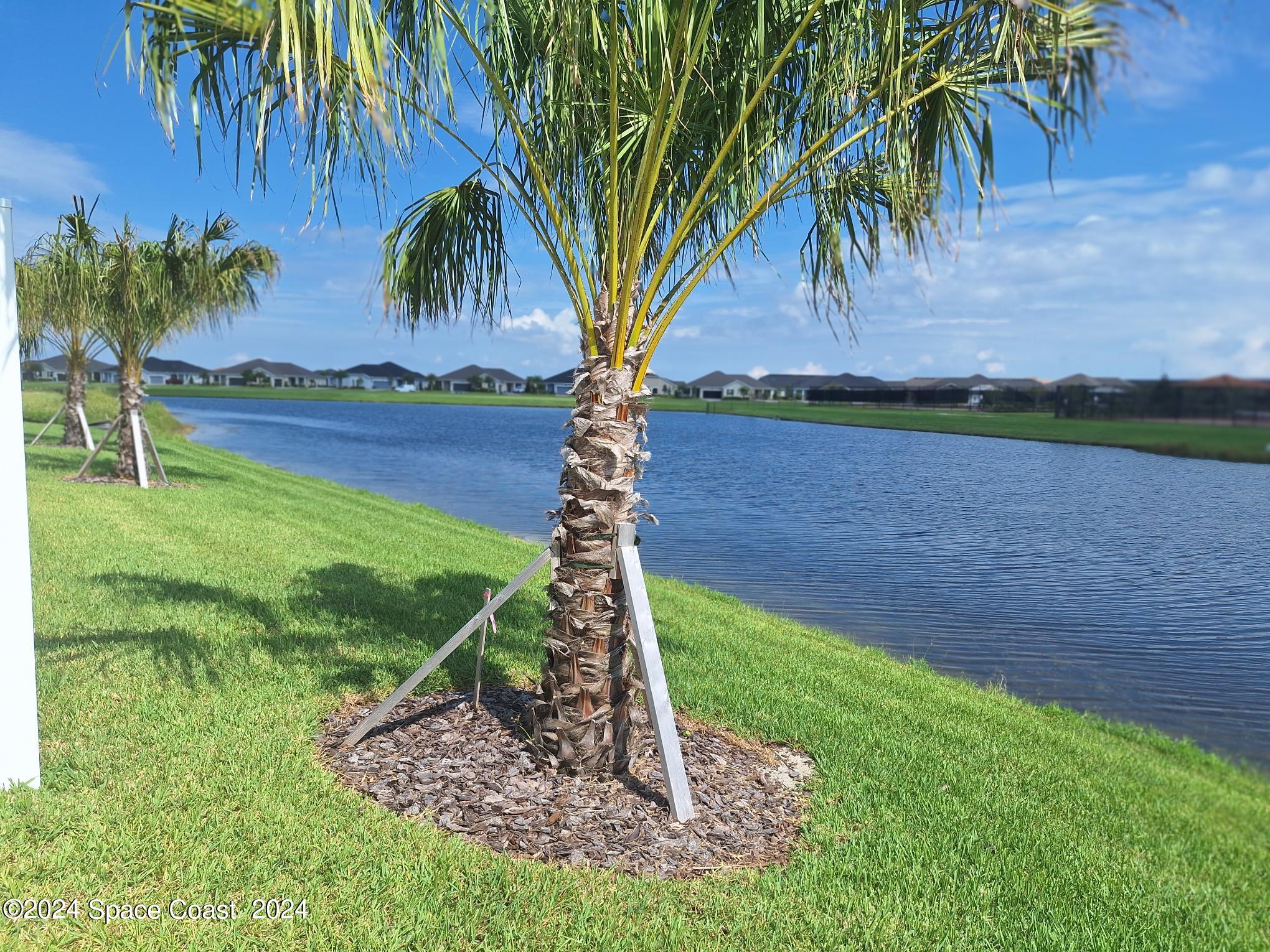 7929 Cache Crk Lane Melbourne, FL 32940 - Photo 24 of 33 a backyard of a house with lots of green space