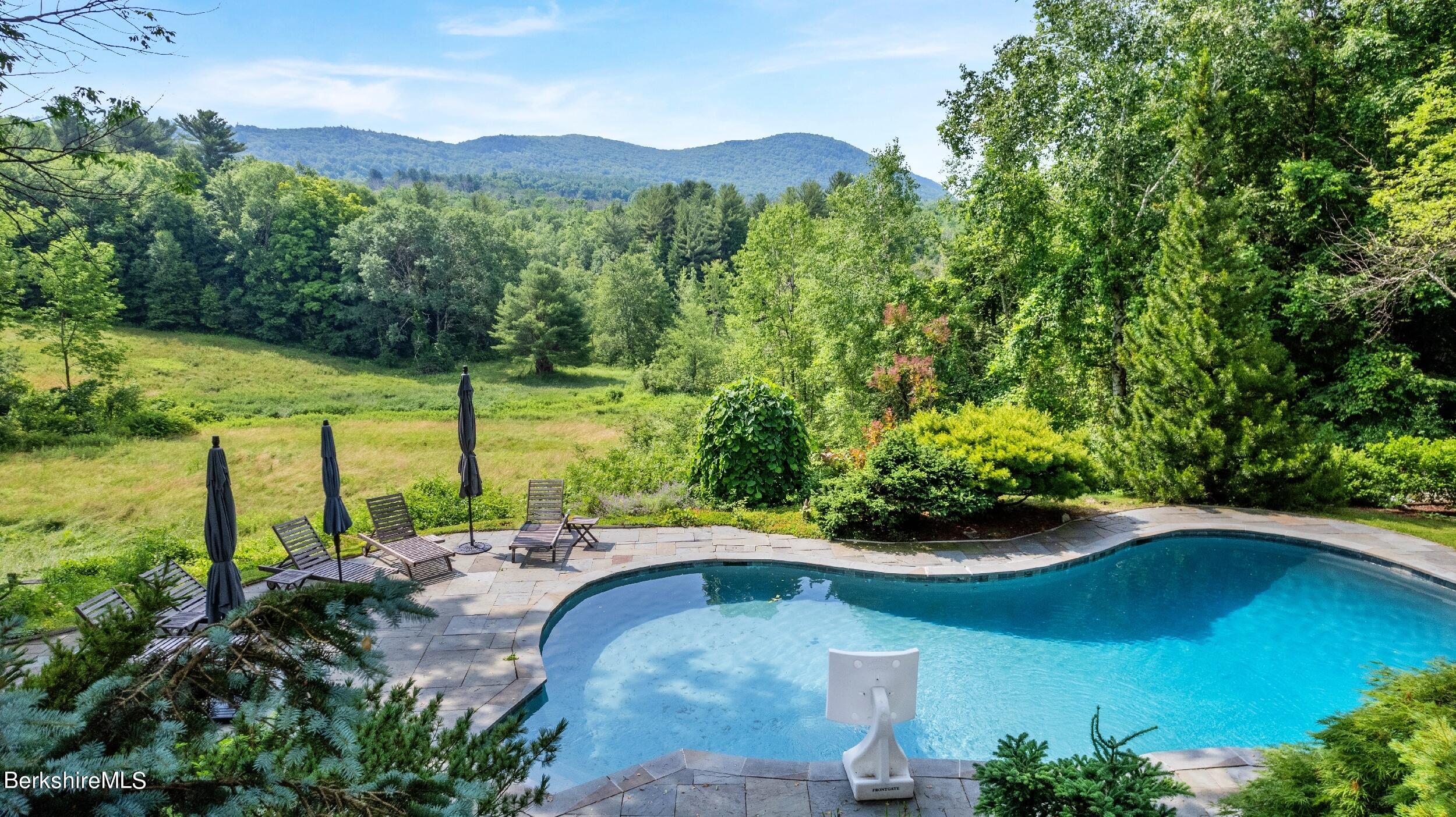 180 West Center Road West Stockbridge, MA 01266 - Photo 3 of 60 Pool in the rear of the property