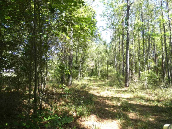 $462,000 | 1310 Piney Woods Road, Monticello, FL 32344