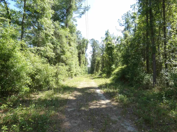 $462,000 | 1310 Piney Woods Road, Monticello, FL 32344