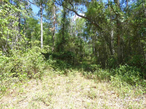 $462,000 | 1310 Piney Woods Road, Monticello, FL 32344
