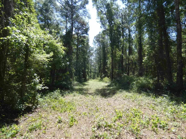 $462,000 | 1310 Piney Woods Road, Monticello, FL 32344