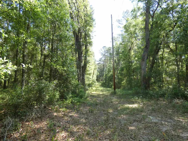 $462,000 | 1310 Piney Woods Road, Monticello, FL 32344